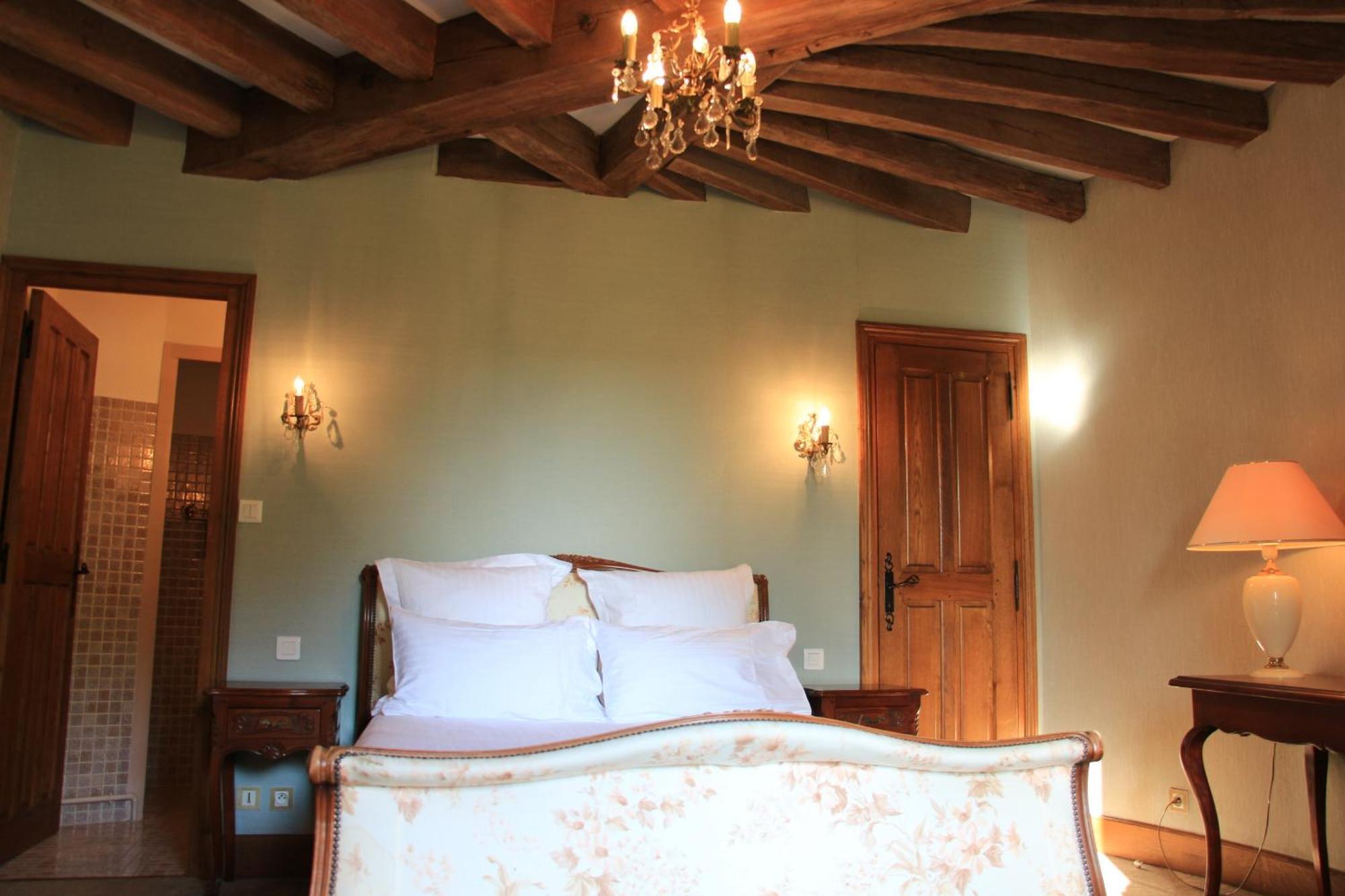 Chateau De La Menaudiere Chissay-en-Touraine Ngoại thất bức ảnh