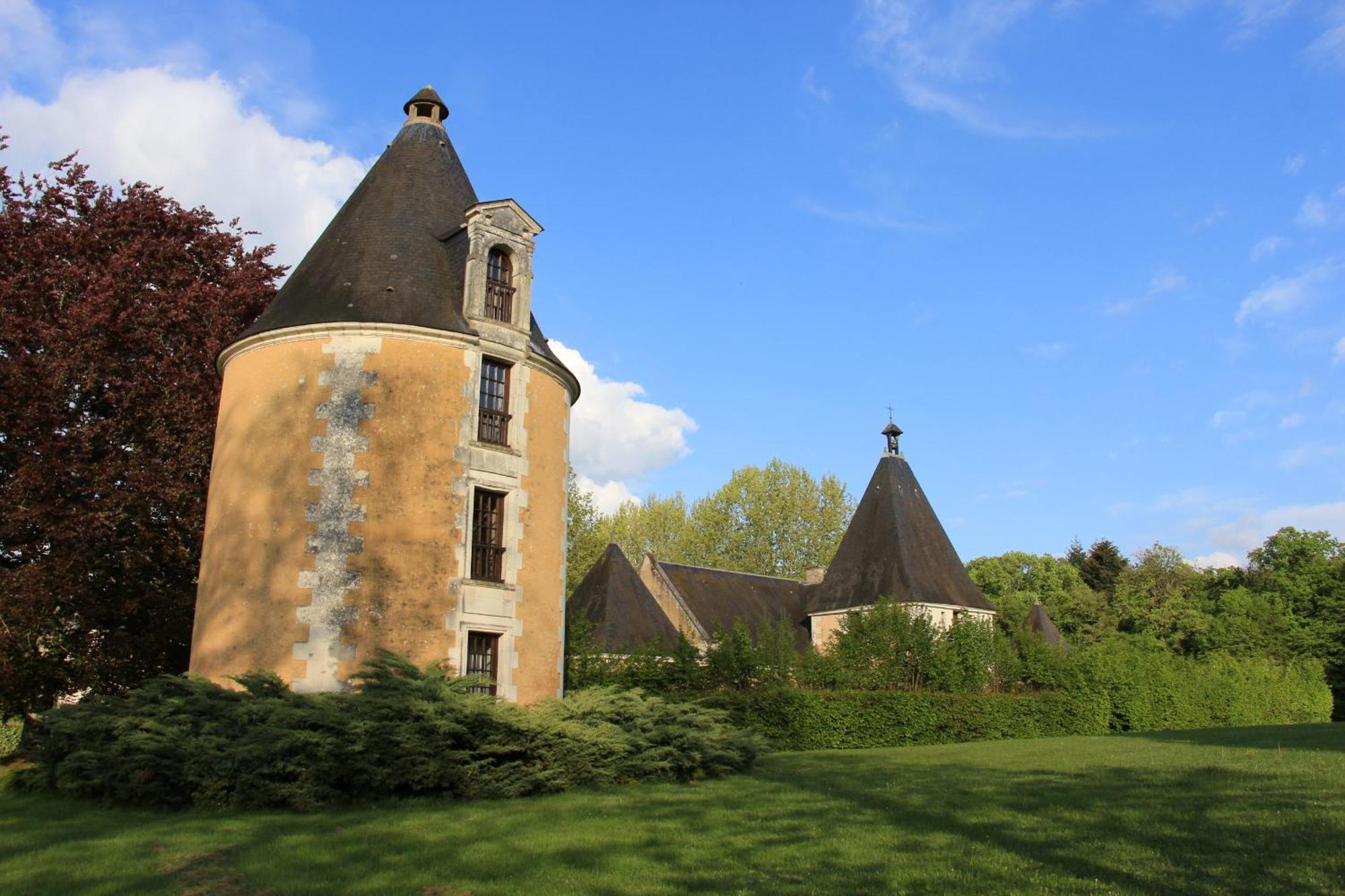 Chateau De La Menaudiere Chissay-en-Touraine Ngoại thất bức ảnh