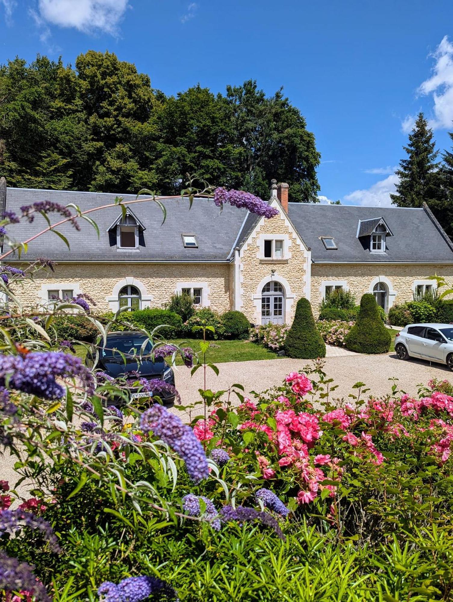 Chateau De La Menaudiere Chissay-en-Touraine Ngoại thất bức ảnh