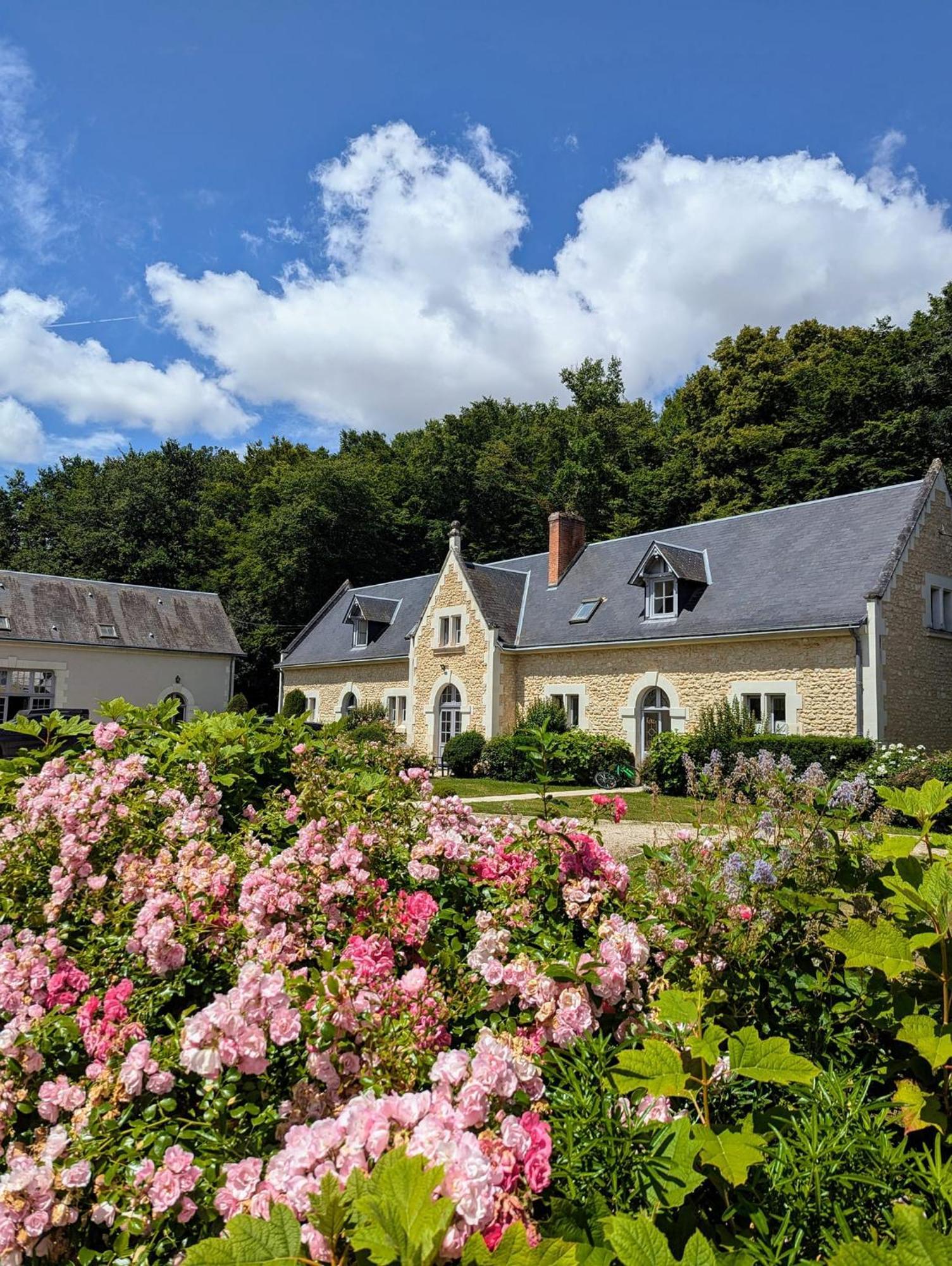 Chateau De La Menaudiere Chissay-en-Touraine Ngoại thất bức ảnh